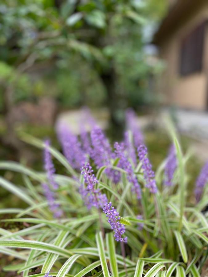 Ryokan Genhouin Kyoto Exteriör bild